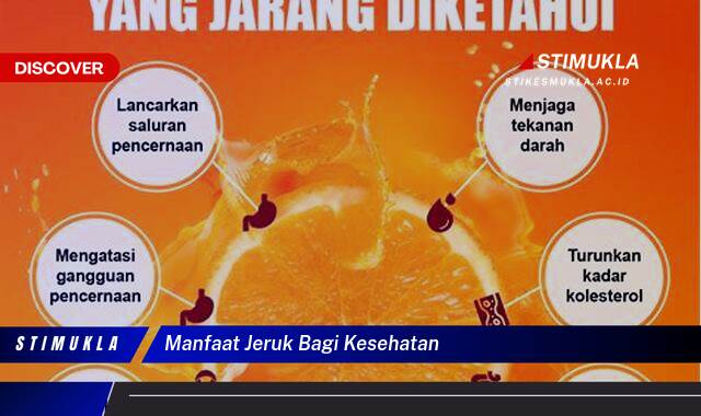 9 Manfaat Jeruk Bagi Kesehatan, Fakta Terungkap!