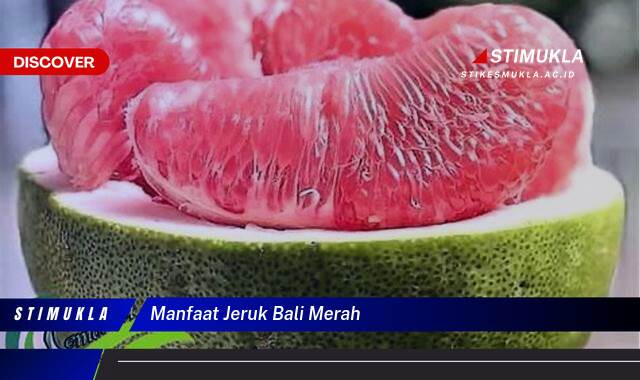 Ketahui 9 Manfaat Jeruk Bali Merah untuk Kesehatan Tubuh Anda