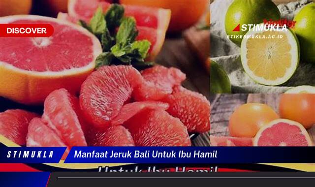 Ketahui 9 Manfaat Jeruk Bali untuk Ibu Hamil,  Sederet Khasiat bagi Kesehatan Bunda dan Janin