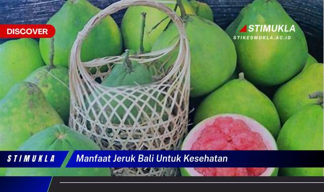 Ketahui 10 Manfaat Jeruk Bali untuk Kesehatan Tubuh Anda Secara Menyeluruh Ketahui 10 Manfaat Jeruk Bali untuk Kesehatan Tubuh Anda Secara Menyeluruh