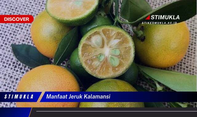 10 Manfaat Jeruk Kalamansi untuk Kesehatan dan Kecantikan Kulit