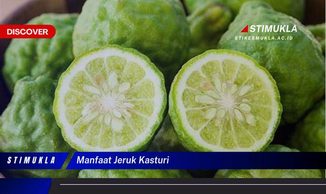 Ketahui 10 Manfaat Jeruk Kasturi untuk Kesehatan, Kecantikan, dan Masakan Ketahui 10 Manfaat Jeruk Kasturi untuk Kesehatan, Kecantikan, dan Masakan
