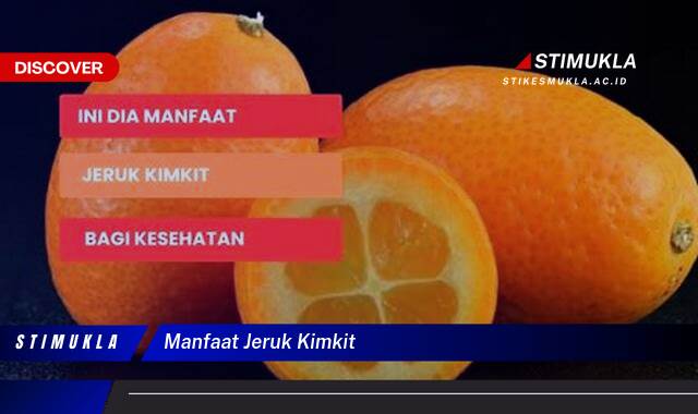 Ketahui 8 Manfaat Jeruk Kimkit untuk Kesehatan dan Kecantikan