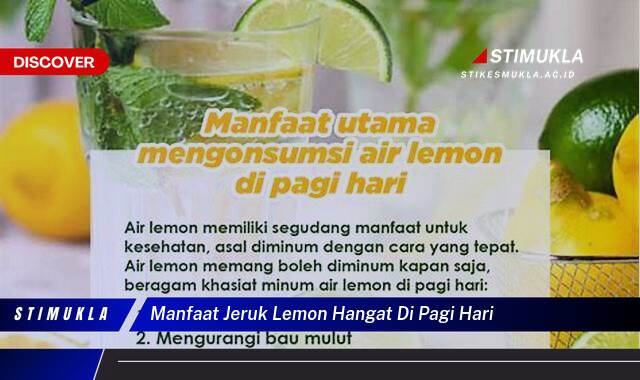 Inilah 10 Manfaat Jeruk Lemon Hangat di Pagi Hari untuk Kesehatan, Kecantikan, dan Energi