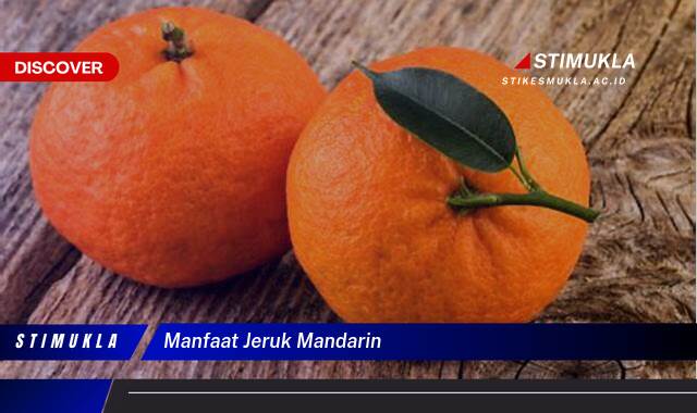 8 Manfaat manfaat jeruk mrin Cegah Penyakit Jantung!