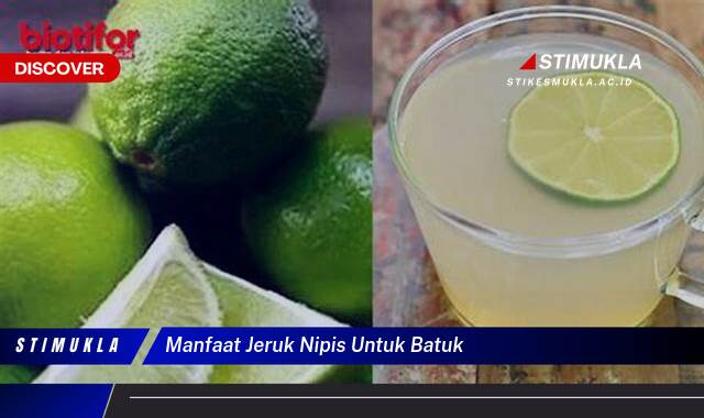 10 Manfaat Jeruk Nipis untuk Batuk Redakan Gatal dan Sakit Tenggorokan