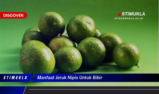 10 Manfaat manfaat jeruk nipis untuk bibir cerah alami dan sehat
