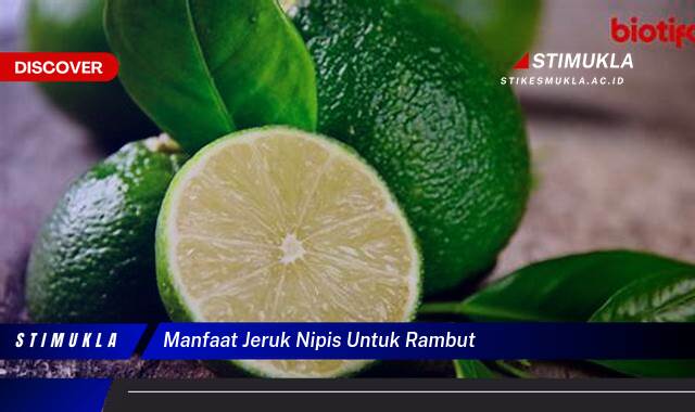 Ketahui 10 Manfaat Jeruk Nipis untuk Rambut, Tips dan Trik untuk Pertumbuhan Rambut Lebih Cepat dan Sehat Ketahui 10 Manfaat Jeruk Nipis untuk Rambut, Tips dan Trik untuk Pertumbuhan Rambut Lebih Cepat dan Sehat