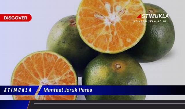 Ketahui 10 Manfaat Jeruk Peras untuk Kesehatan Tubuh Anda Ketahui 10 Manfaat Jeruk Peras untuk Kesehatan Tubuh Anda