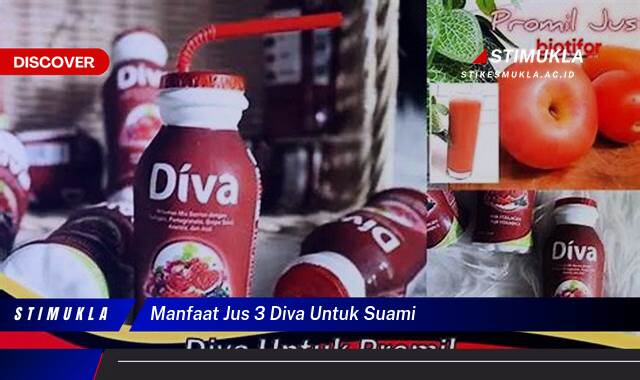9 Manfaat Jus 3 Diva untuk Suami, Vitalitas Prima Setiap Hari