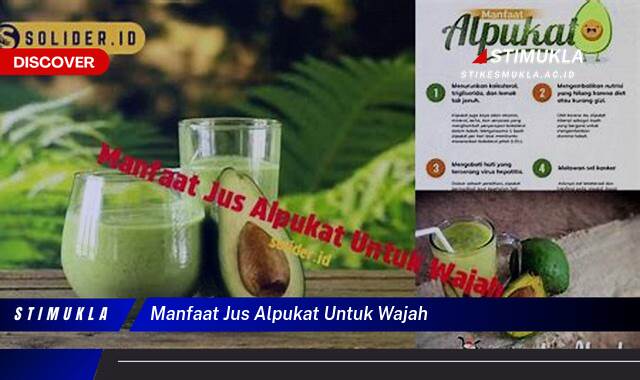 Ketahui 8 Manfaat Jus Alpukat untuk Wajah, Kulit Cerah, Lembap, dan Awet Muda Ketahui 8 Manfaat Jus Alpukat untuk Wajah, Kulit Cerah, Lembap, dan Awet Muda