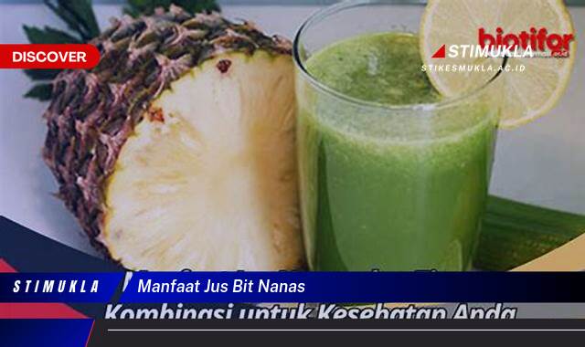 Inilah 8 Manfaat Jus Bit Nanas untuk Kesehatan, Stamina, dan Kecantikan