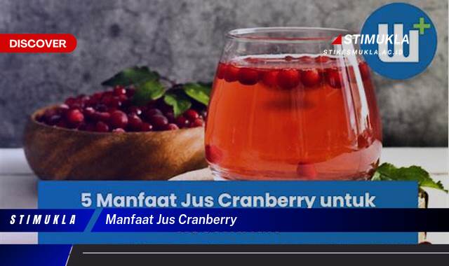 Inilah 10 Manfaat Jus Cranberry untuk Kesehatan Tubuh Anda