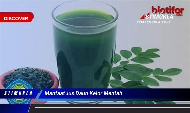 Temukan 10 Manfaat Jus Daun Kelor Mentah untuk Kesehatan Anda