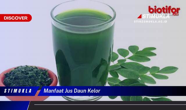 Inilah 9 Manfaat Jus Daun Kelor untuk Kesehatan Tubuh Anda