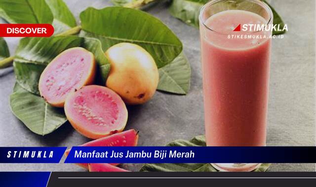 Ketahui 9 Manfaat Jus Jambu Biji Merah untuk Kesehatan Tubuh Anda