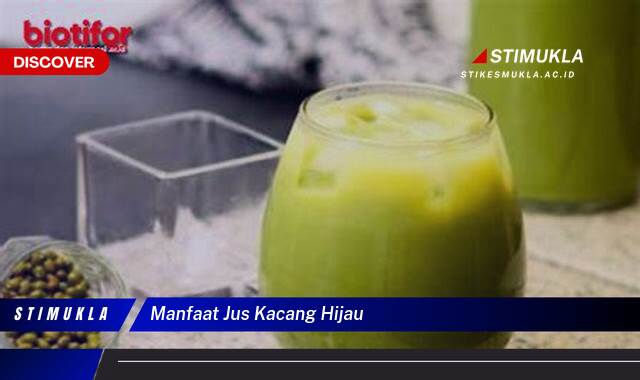 10 Manfaat manfaat jus kacang hijau Lebih Sehat dan Bertenaga