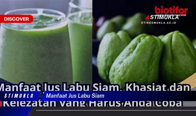 Temukan 10 Manfaat Jus Labu Siam untuk Turun Berat Badan