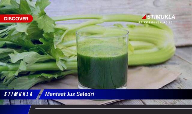 Ketahui 9 Manfaat Jus Seledri untuk Kesehatan Tubuh Anda Ketahui 9 Manfaat Jus Seledri untuk Kesehatan Tubuh Anda