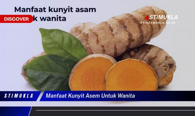 Ketahui 9 Manfaat Kunyit Asem untuk Wanita, Kesehatan, Kecantikan, dan Cara Mengonsumsinya Ketahui 9 Manfaat Kunyit Asem untuk Wanita, Kesehatan, Kecantikan, dan Cara Mengonsumsinya