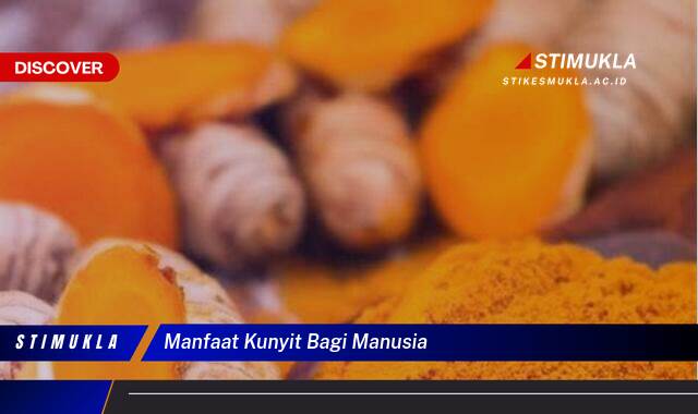 10 Manfaat manfaat kunyit bagi manusia temukan khasiat hebatnya