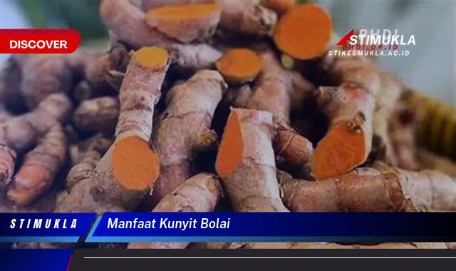 Ketahui 9 Manfaat Kunyit Bolai untuk Kesehatan dan Kecantikan