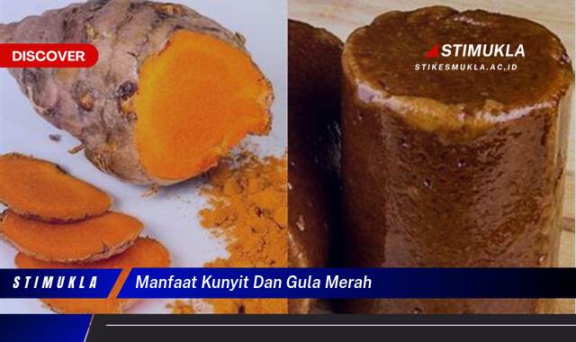 9 Manfaat Kunyit dan Gula Merah untuk Kesehatan Tubuh