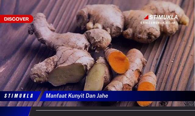 Ketahui 9 Manfaat Kunyit dan Jahe untuk Kesehatan Tubuh Anda Ketahui 9 Manfaat Kunyit dan Jahe untuk Kesehatan Tubuh Anda