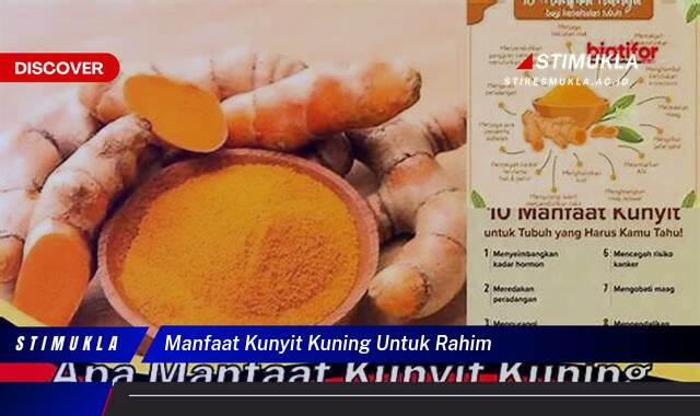 8 Manfaat Kunyit Kuning Untuk Rahim, Sehat, Alami dan Efektif