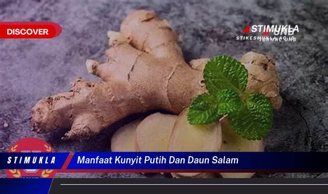 Inilah 8 Manfaat Kunyit Putih dan Daun Salam untuk Kesehatan Tubuh