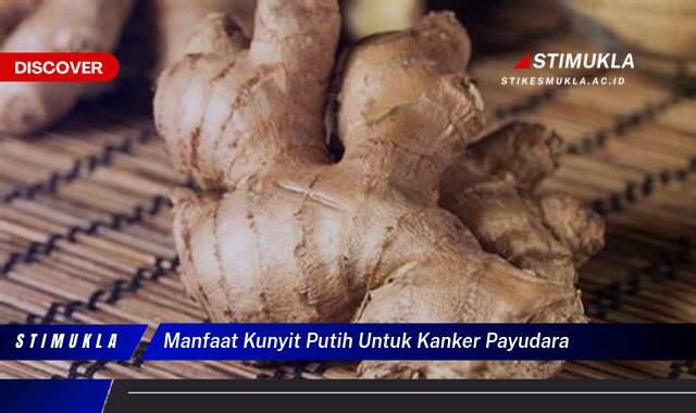 Ketahui 10 Manfaat Kunyit Putih untuk Kanker Payudara, Pencegahan & Pengobatan Alami