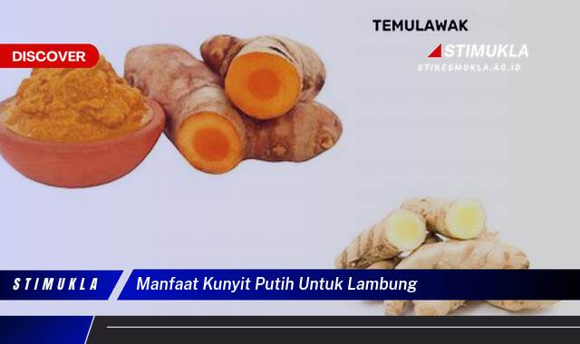 Ketahui 8 Manfaat Kunyit Putih untuk Lambung, Redakan Maag dan Gangguan Pencernaan Lainnya