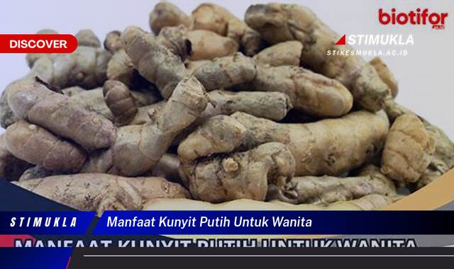 Ketahui 9 Manfaat Kunyit Putih untuk Wanita, Meningkatkan Kesehatan dan Kecantikan Secara Alami Ketahui 9 Manfaat Kunyit Putih untuk Wanita, Meningkatkan Kesehatan dan Kecantikan Secara Alami