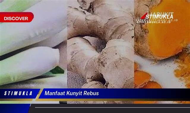 10 Manfaat Kunyit Rebus untuk Kesehatan, Kecantikan & Imunitas