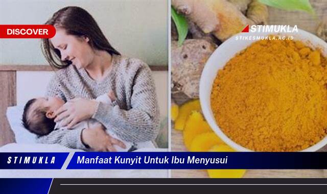 9 Manfaat manfaat kunyit untuk ibu menyusui Temukan Fakta Terbarunya
