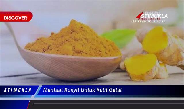 Ketahui 10 Manfaat Kunyit Untuk Kulit Gatal Atasi Gatal Dengan Cepat dan Alami Ketahui 10 Manfaat Kunyit Untuk Kulit Gatal Atasi Gatal Dengan Cepat dan Alami