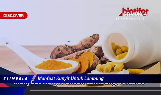 Ketahui 10 Manfaat Kunyit untuk Lambung, Redakan Maag dan Gangguan Pencernaan Lainnya Ketahui 10 Manfaat Kunyit untuk Lambung, Redakan Maag dan Gangguan Pencernaan Lainnya