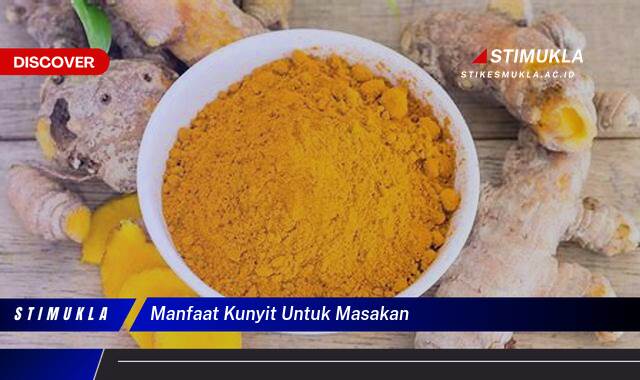 Ketahui 10 Manfaat Kunyit Untuk Masakan, Cita Rasa Nusantara