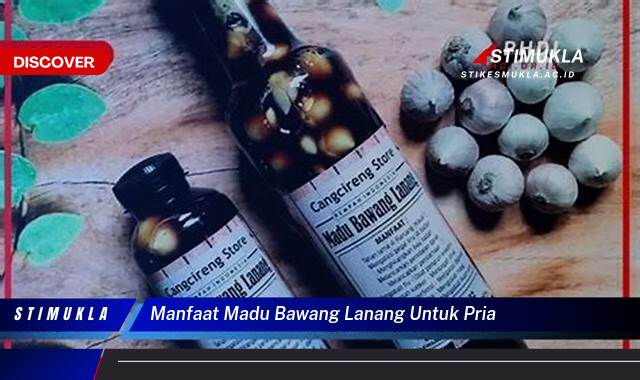 Ketahui 8 Manfaat Madu Bawang Lanang untuk Pria, Stamina, Vitalitas, dan Kesuburan