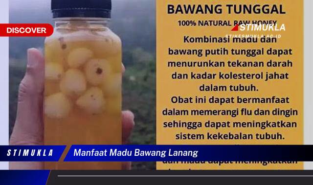 Ketahui 9 Manfaat Madu Bawang Lanang untuk Kesehatan Anda Ketahui 9 Manfaat Madu Bawang Lanang untuk Kesehatan Anda