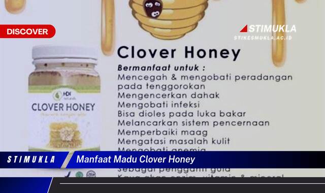 Inilah 9 Manfaat Madu Clover Honey untuk Kesehatan dan Kecantikan Anda