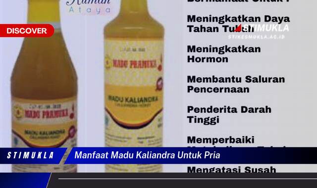 Temukan 8 Manfaat Madu Kaliandra untuk Pria, Stamina, Vitalitas, dan Kesehatan Prima