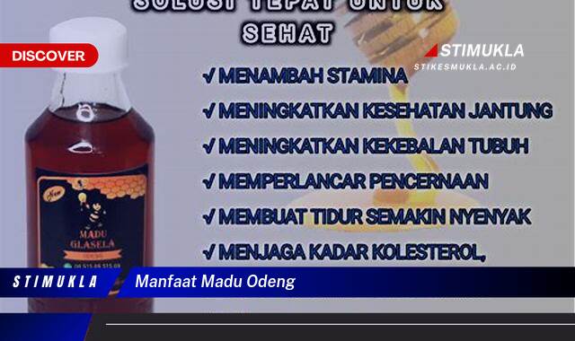 Ketahui 8 Manfaat Madu Odeng untuk Kesehatan Tubuh Anda