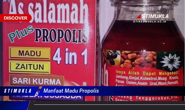 Inilah 10 Manfaat Madu Propolis untuk Kesehatan Tubuh Anda