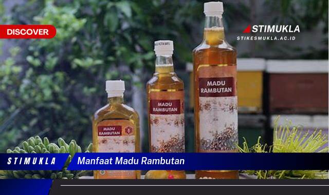 Inilah 8 Manfaat Madu Rambutan untuk Kesehatan dan Kecantikan