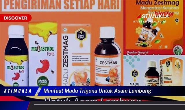 Ketahui 10 Manfaat Madu Trigona Untuk Asam Lambung Redakan, Sembuhkan, Cegah