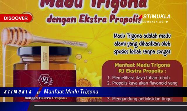 Ketahui 10 Manfaat Madu Trigona untuk Kesehatan Tubuh Anda Ketahui 10 Manfaat Madu Trigona untuk Kesehatan Tubuh Anda