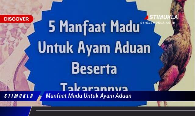 Ketahui 9 Manfaat Madu Untuk Ayam Aduan Tingkatkan Stamina dan Kekebalan