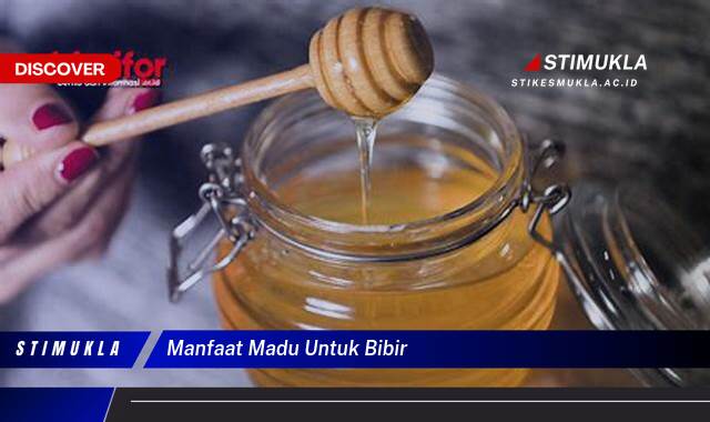 Ketahui 8 Manfaat Madu untuk Bibir Kering dan Pecah,Pecah, Tips & Cara Alami