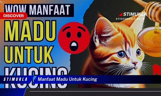 Ketahui 10 Manfaat Madu untuk Kucing, Tips Praktis dan Aman